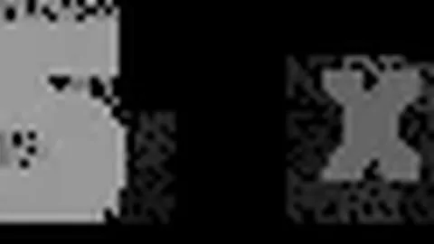 罗塞尼尔曝詹姆斯小状况；阿昌庞潜力无限，中卫新星崛起在即！