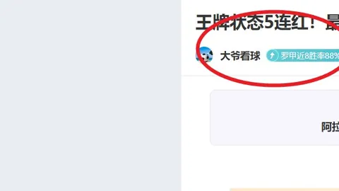 大乐透期号专家质合分析：前区十码推荐解读萨拉基利斯对拜仁