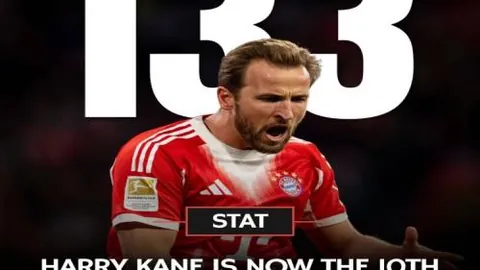 德篮甲特里尔角斗士vs路德维希堡：专家近4期推荐质合分析